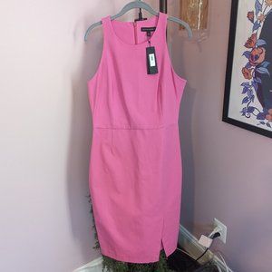 Banana Republic Pink Pencil Dress (Size 12)
